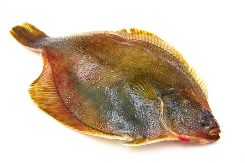 Cá bơn