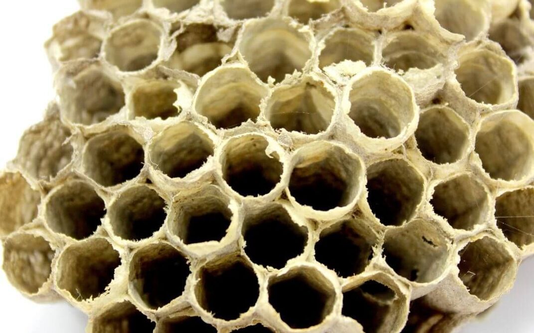 keo ong để tăng hiệu lực